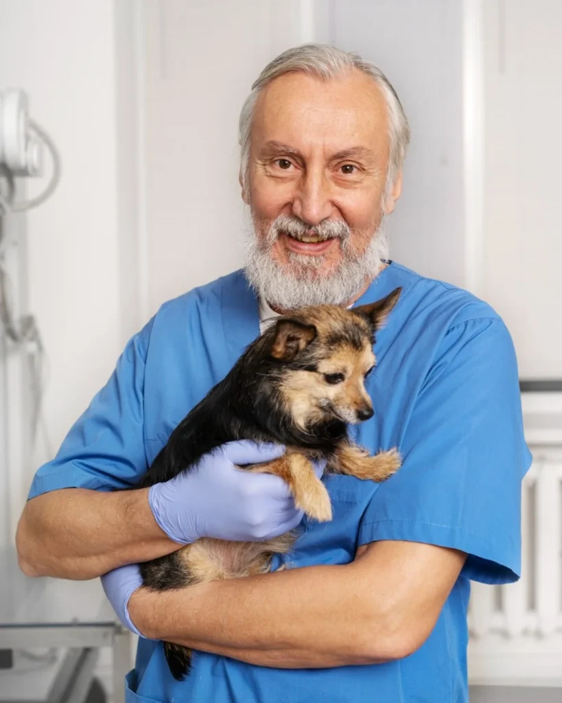 Dokuzlar Veteriner Kliniği | Osmaniye Toprakkale Veteriner | Osmaniye Toprakkale Veteriner Kliniği | Osmaniye Toprakkale Acil Veteriner Kliniği | Osmaniye Toprakkale 7/24 Veteriner Kliniği