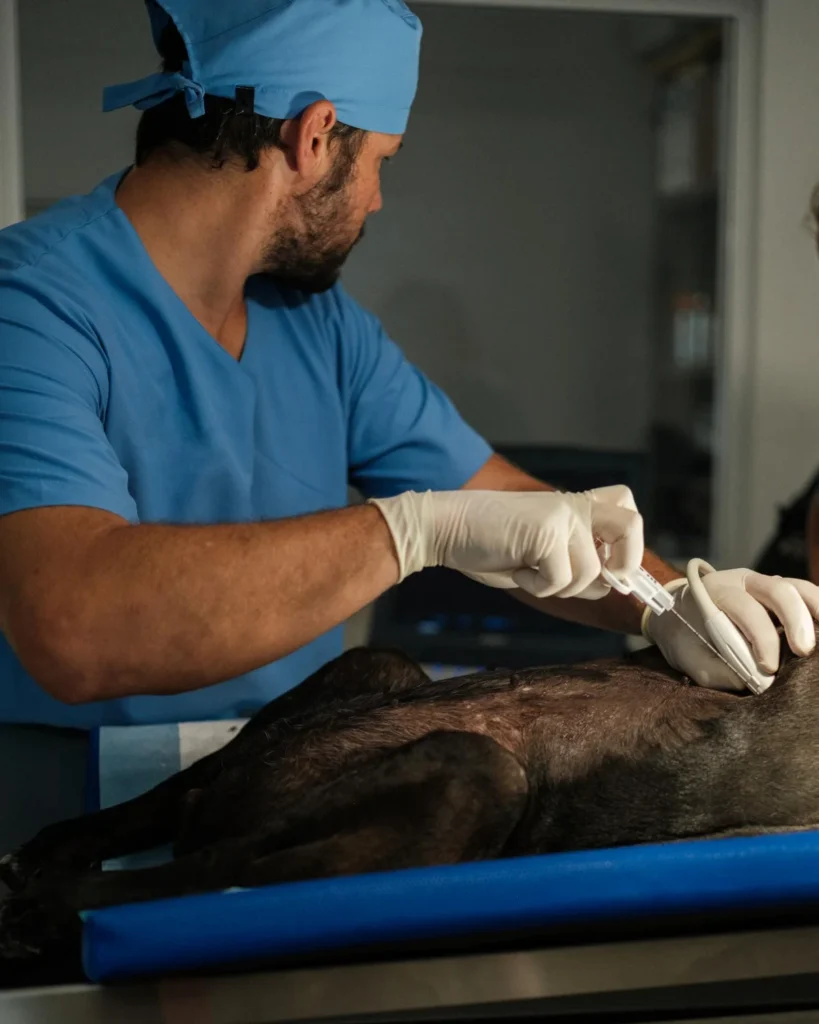 Dokuzlar Veteriner Kliniği | Osmaniye Toprakkale Veteriner | Osmaniye Toprakkale Veteriner Kliniği | Osmaniye Toprakkale Acil Veteriner Kliniği | Osmaniye Toprakkale 7/24 Veteriner Kliniği
