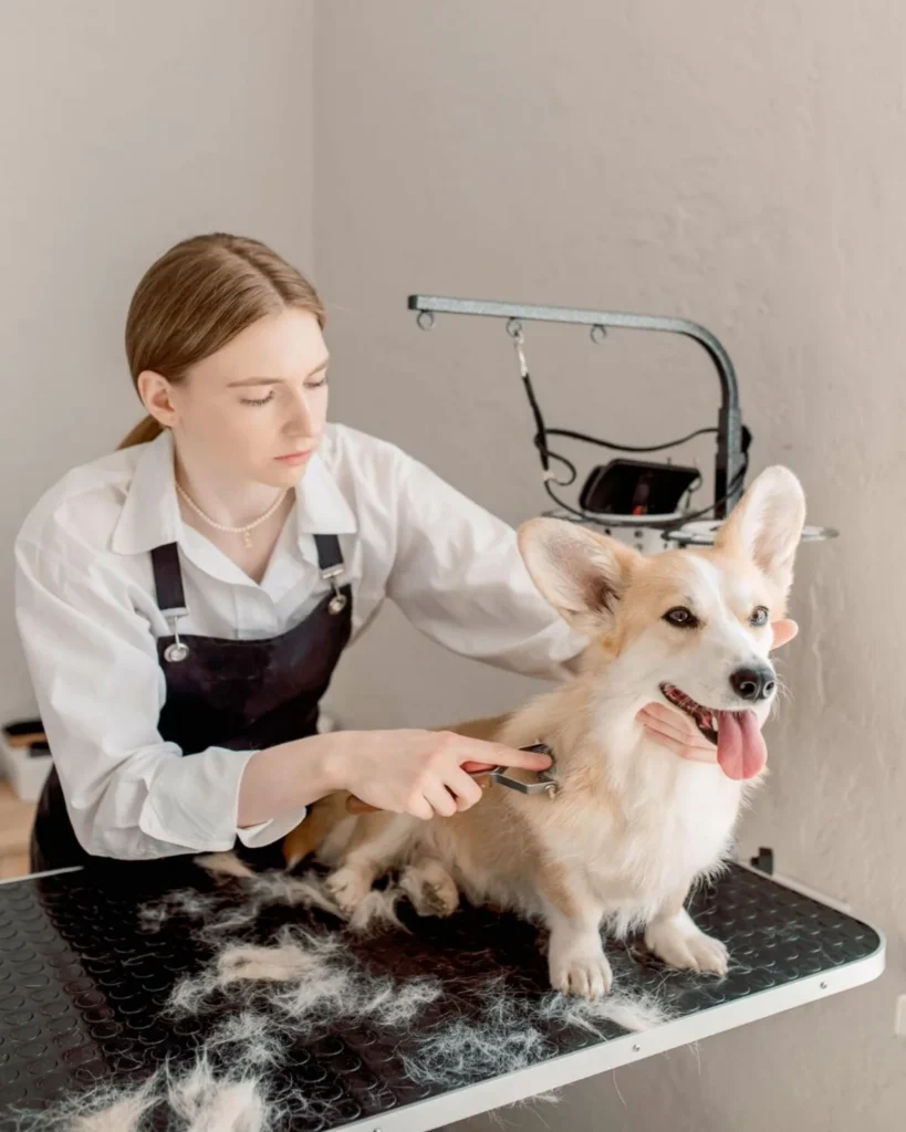 Dokuzlar Veteriner Kliniği | Osmaniye Toprakkale Veteriner | Osmaniye Toprakkale Veteriner Kliniği | Osmaniye Toprakkale Acil Veteriner Kliniği | Osmaniye Toprakkale 7/24 Veteriner Kliniği